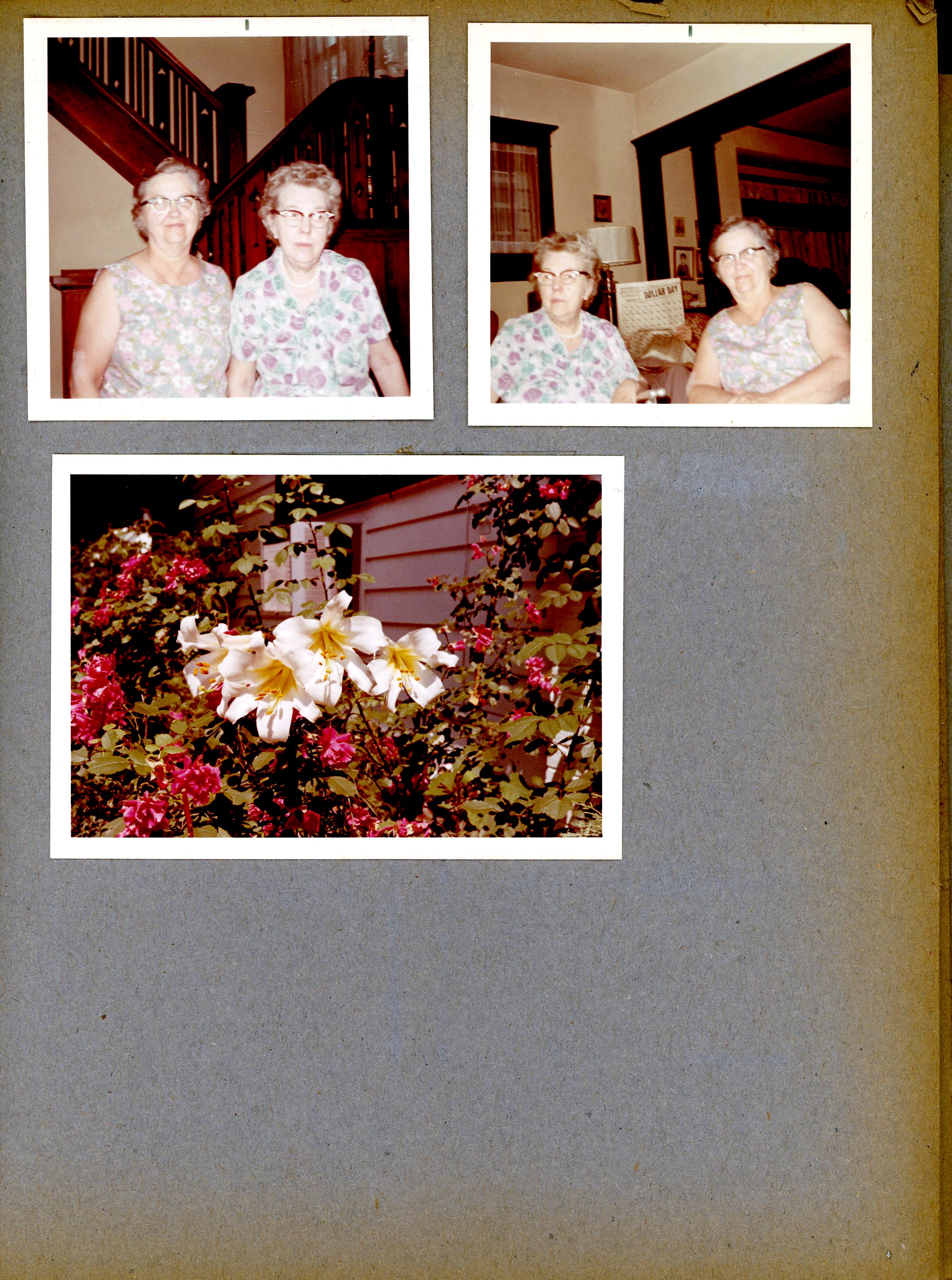 newspaper clipping - newspaper clipping - newspaper clipping - newspaper clipping - newspaper clipping - newspaper clipping - 