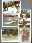 Indianapolis Zoo. kool-aid stand with Steve Chaillard.