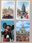 WDW