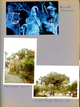 WDW