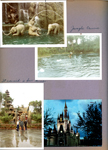 WDW