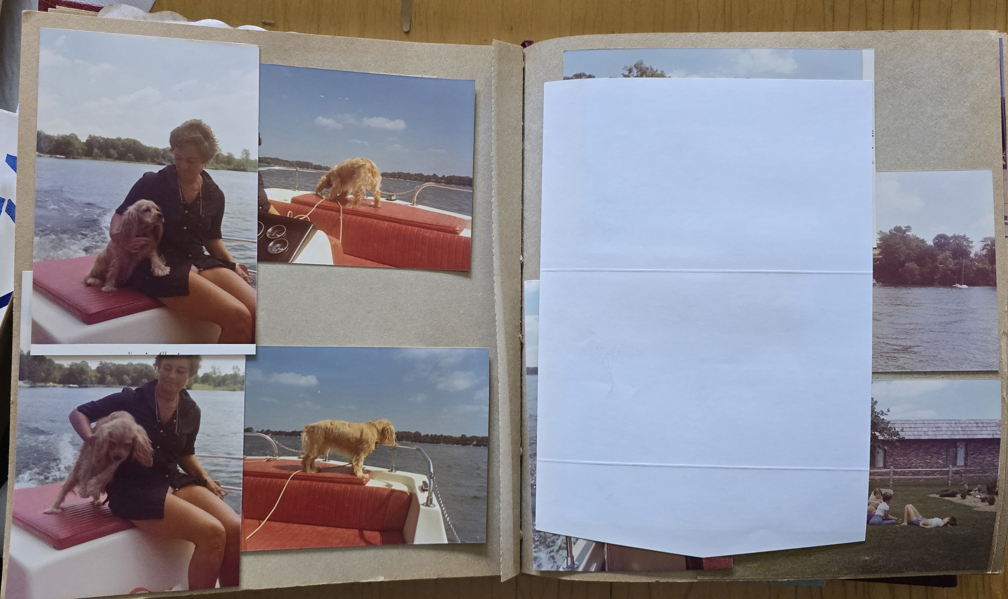 newspaper clipping - newspaper clipping - newspaper clipping - newspaper clipping - newspaper clipping - newspaper clipping - 