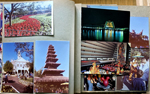 Florida Trip - WDW - Flowers. Liberty Square - Hall of Presidents. Enchanted Tiki Birds roof. Postcard - Contemporary. Tigger.