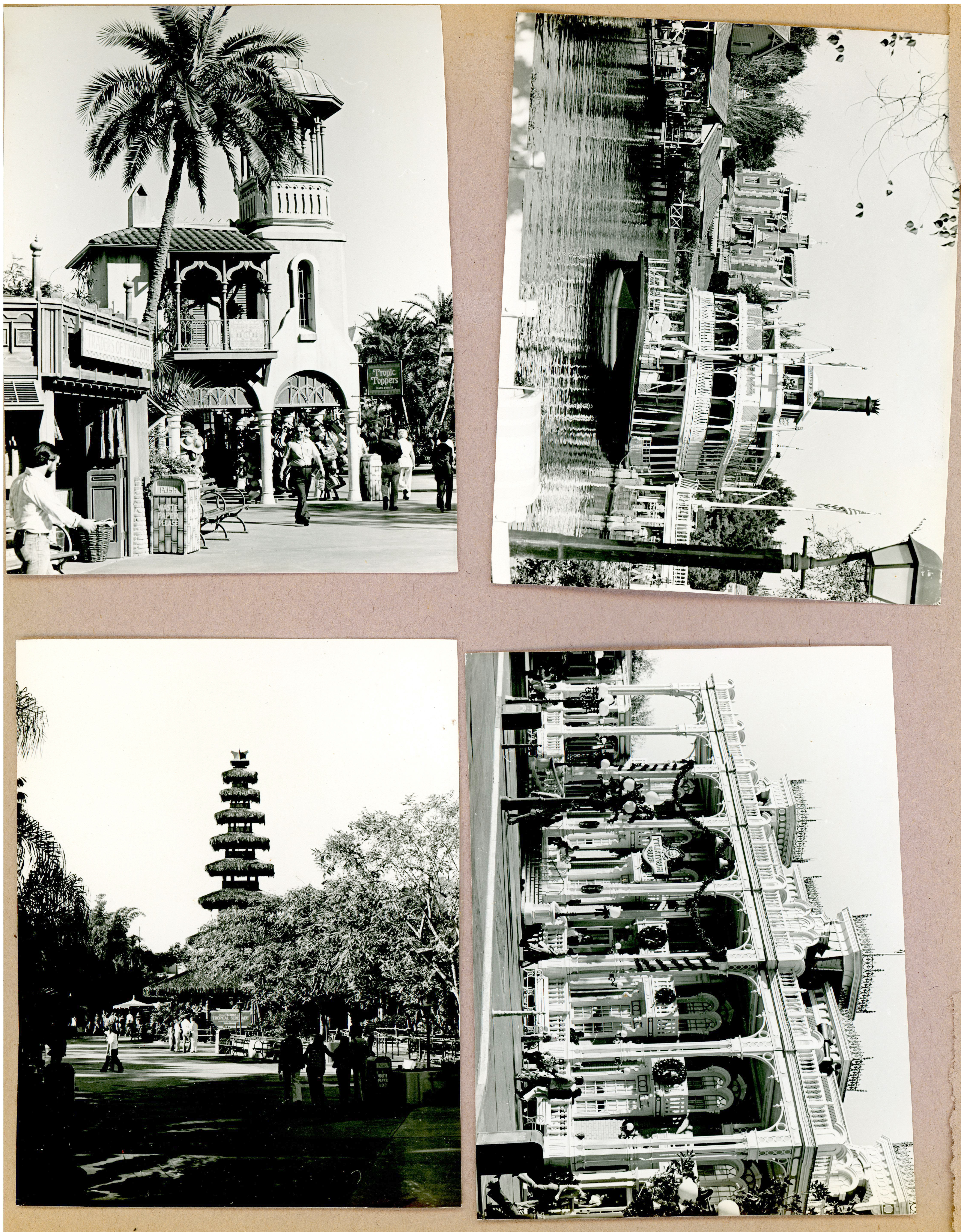 Florida trip - WDW - Alan's B&W - Adventureland - Traders of Timbuktu. Tiki Room. Haunted Mansion and Paddlewheeler. Main Street USA Gulf Hospitality House.
