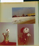 Snow at Glendale Mall - Block's and 6100 tower. 6122 living room - flowers on TV.