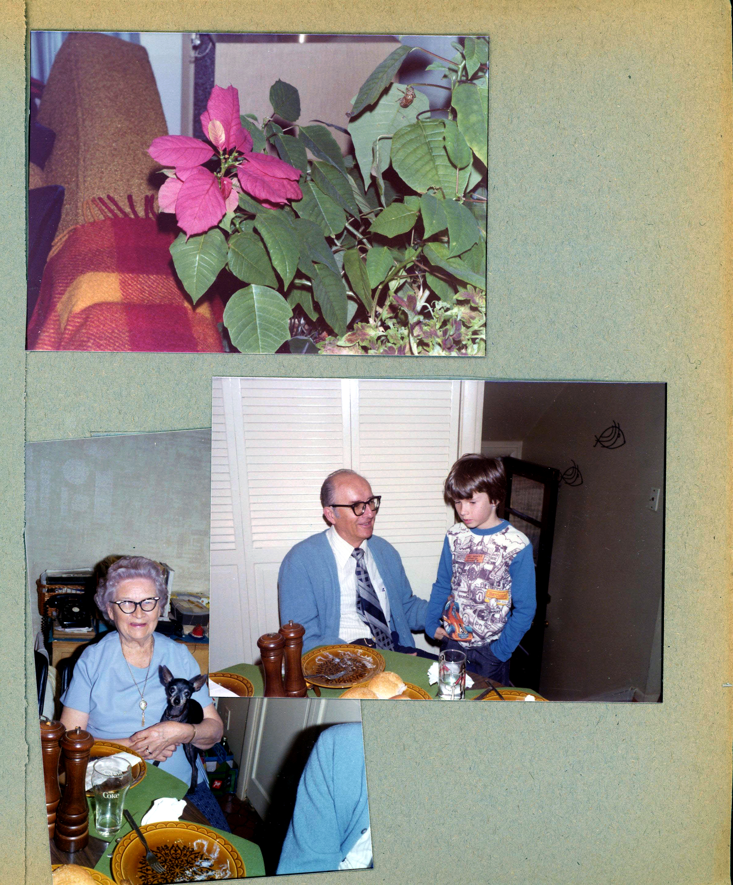 6122 living room - poinsettia.  6122 Kitchen - Warren and Bill. Florence and Shakespeare. 