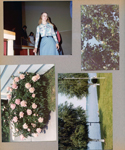 BRHS National Honor Society - Alison Arcuri walking to get certificate. Wawasee - birch tree front yard.