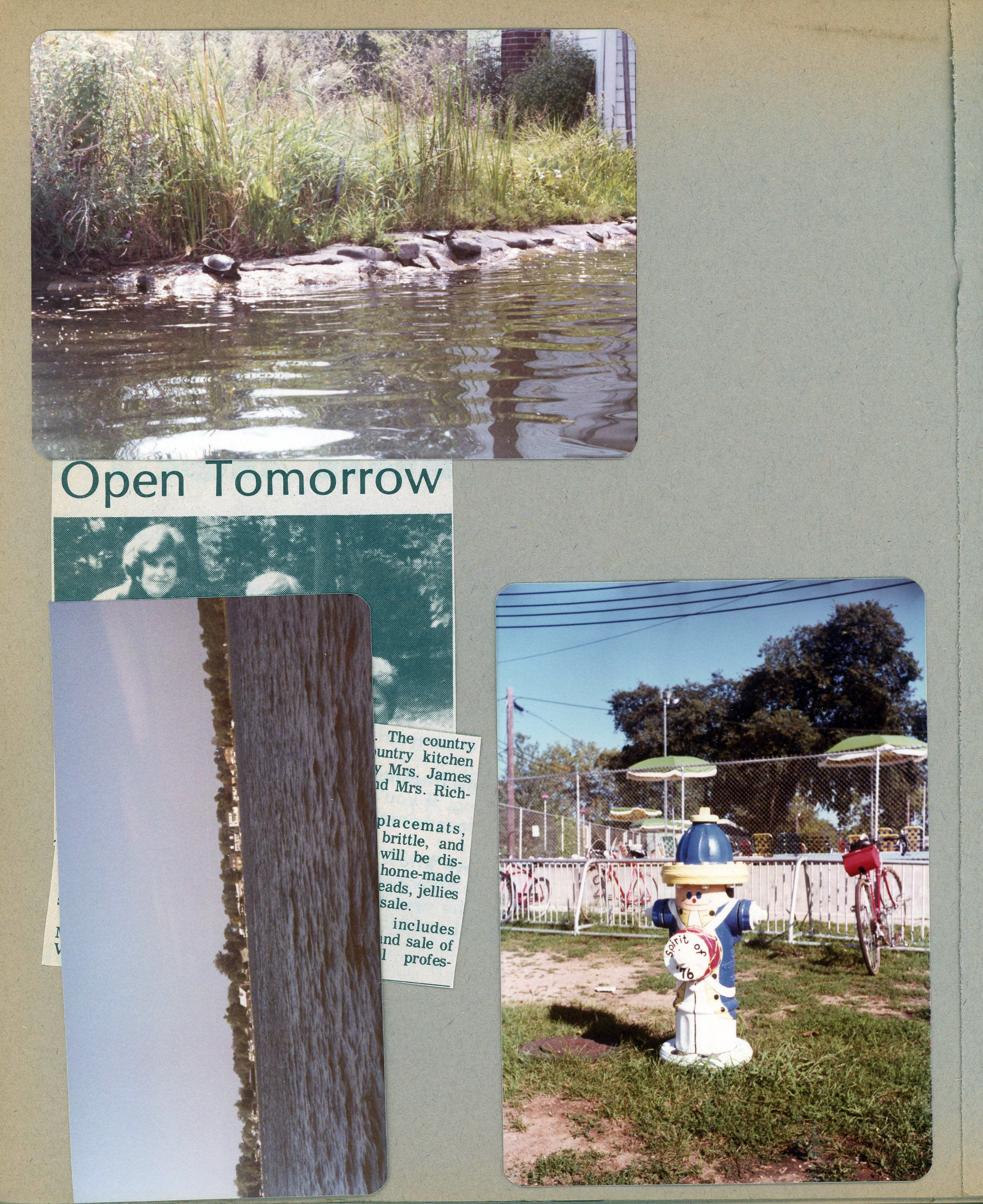 Wawasee - Turtles on rocks in channel. Houses across Johnson Bay from house. 1976 painted fire hydrant (Riviera club?). newspaper clipping - Benefe Barnstorm.