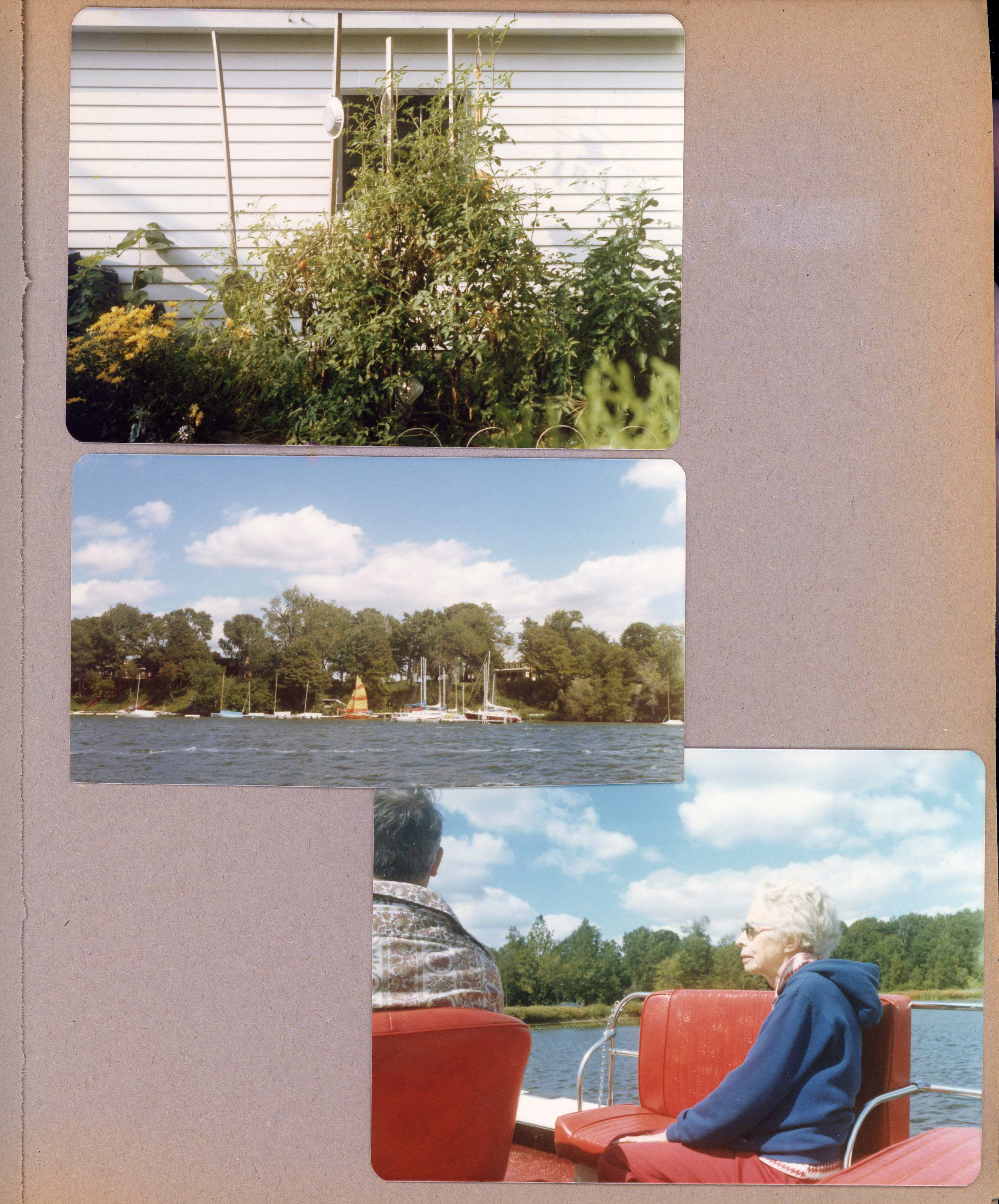 6122 yard - plants on south side of 2-car garage.  Wawasee - maybe Crow's Nest. Louise Williams (6123) in Sylvan.
