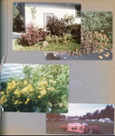 6122 side of house - plants. BRHS Homecoming float - Galaxie 500.