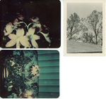 loose items - odd plastic photos of flowers. 6122 roof TV antenna.