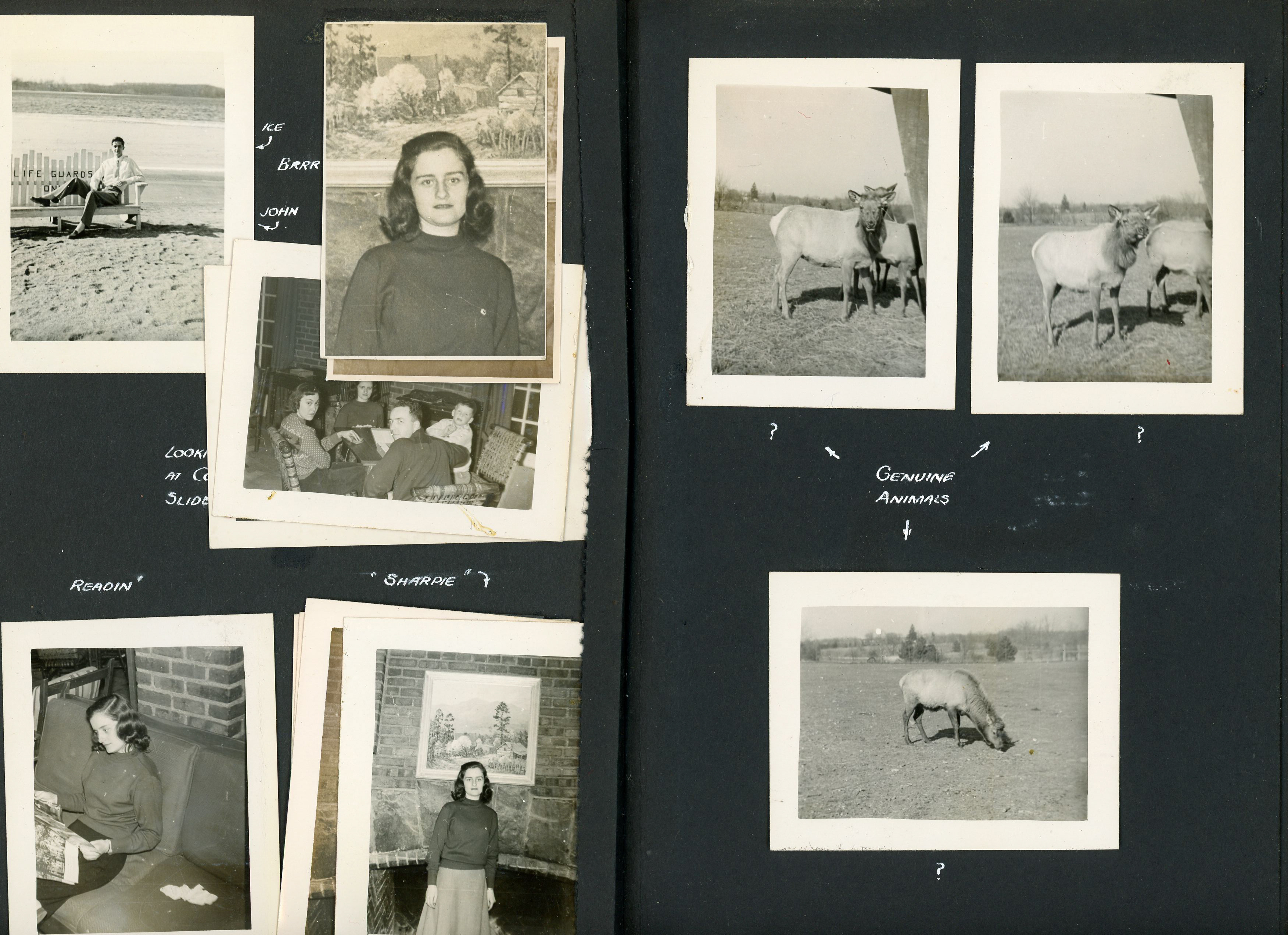 newspaper clipping - newspaper clipping - newspaper clipping - newspaper clipping - newspaper clipping - newspaper clipping - 