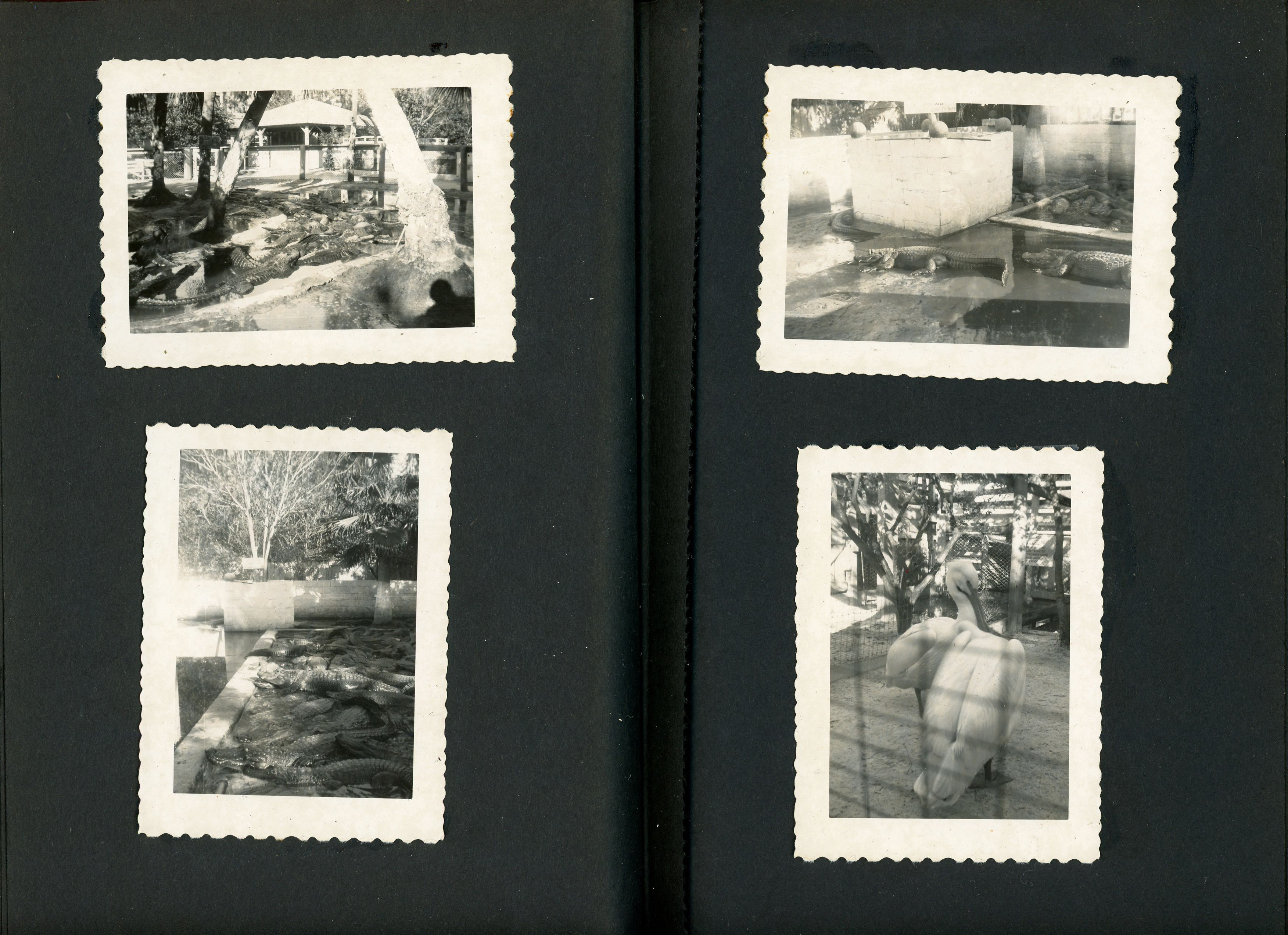 newspaper clipping - newspaper clipping - newspaper clipping - newspaper clipping - newspaper clipping - newspaper clipping - 