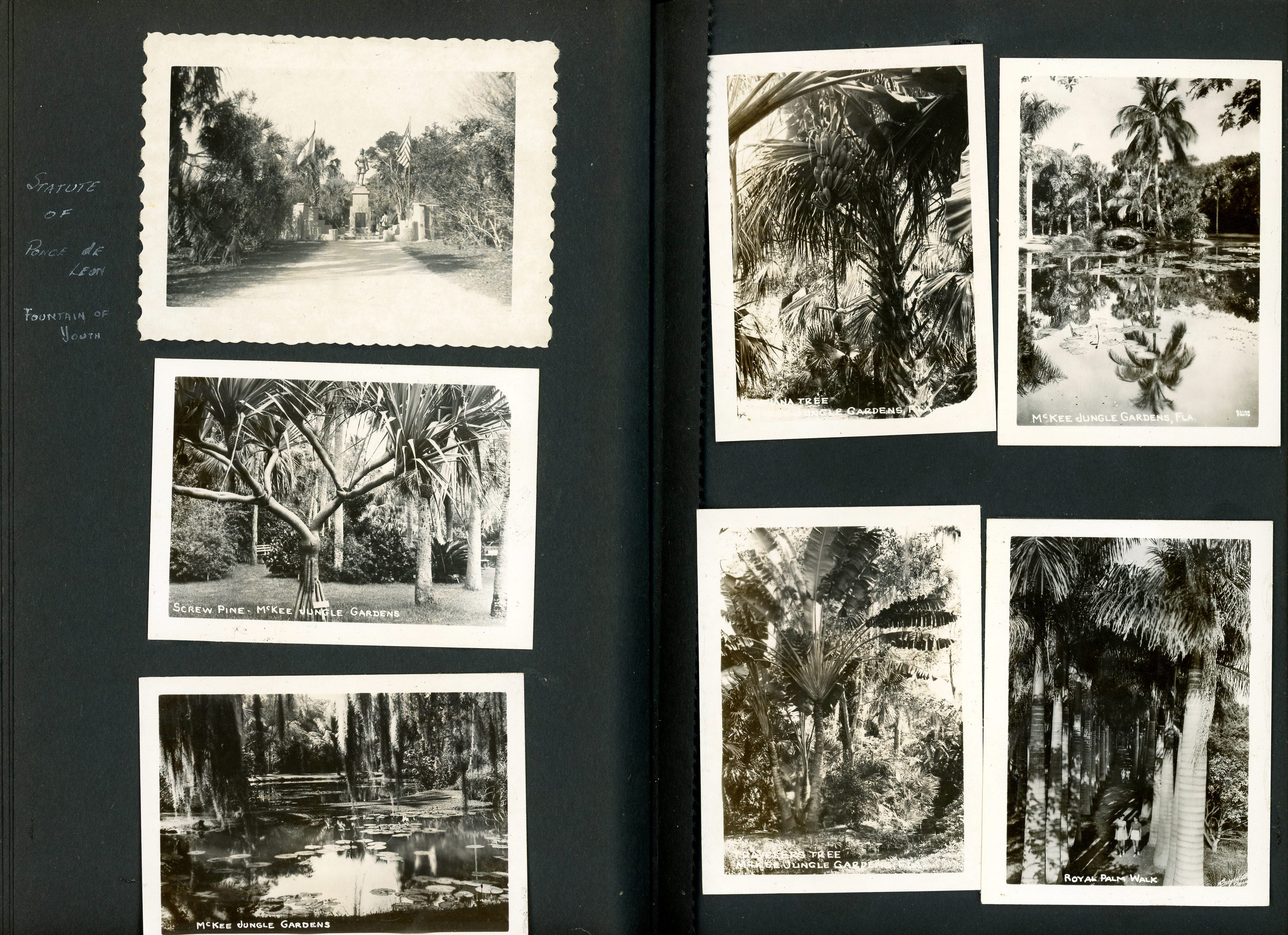 newspaper clipping - newspaper clipping - newspaper clipping - newspaper clipping - newspaper clipping - newspaper clipping - 