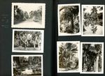 Statue of Ponce de Leon - Fountain of Youth. tiny travel souvenir cards - Screw Pine - McKee Jungle Gardens. Royal Pine Walk.