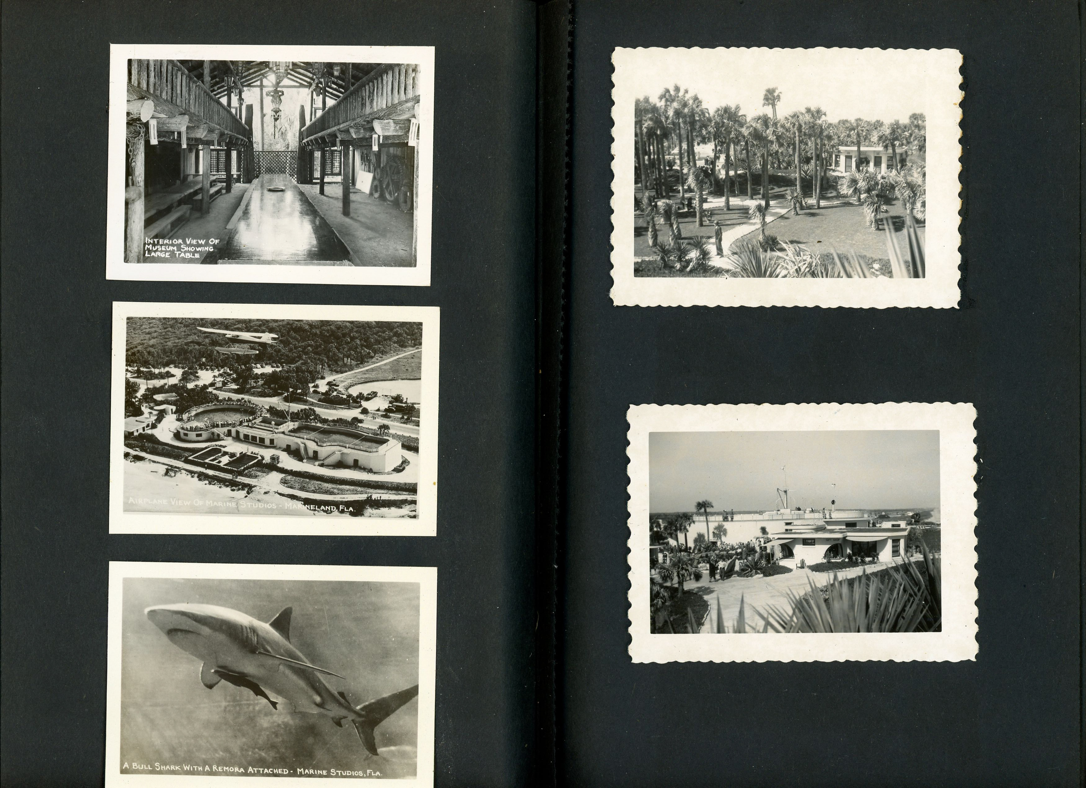 newspaper clipping - newspaper clipping - newspaper clipping - newspaper clipping - newspaper clipping - newspaper clipping - 