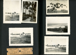Marineland, Fla - dolphin show. Tickets.  tiny travel souvenir cards - Palm lined walk - Marine Studios, Fla. Underwater scene - Silver Springs, Fla.