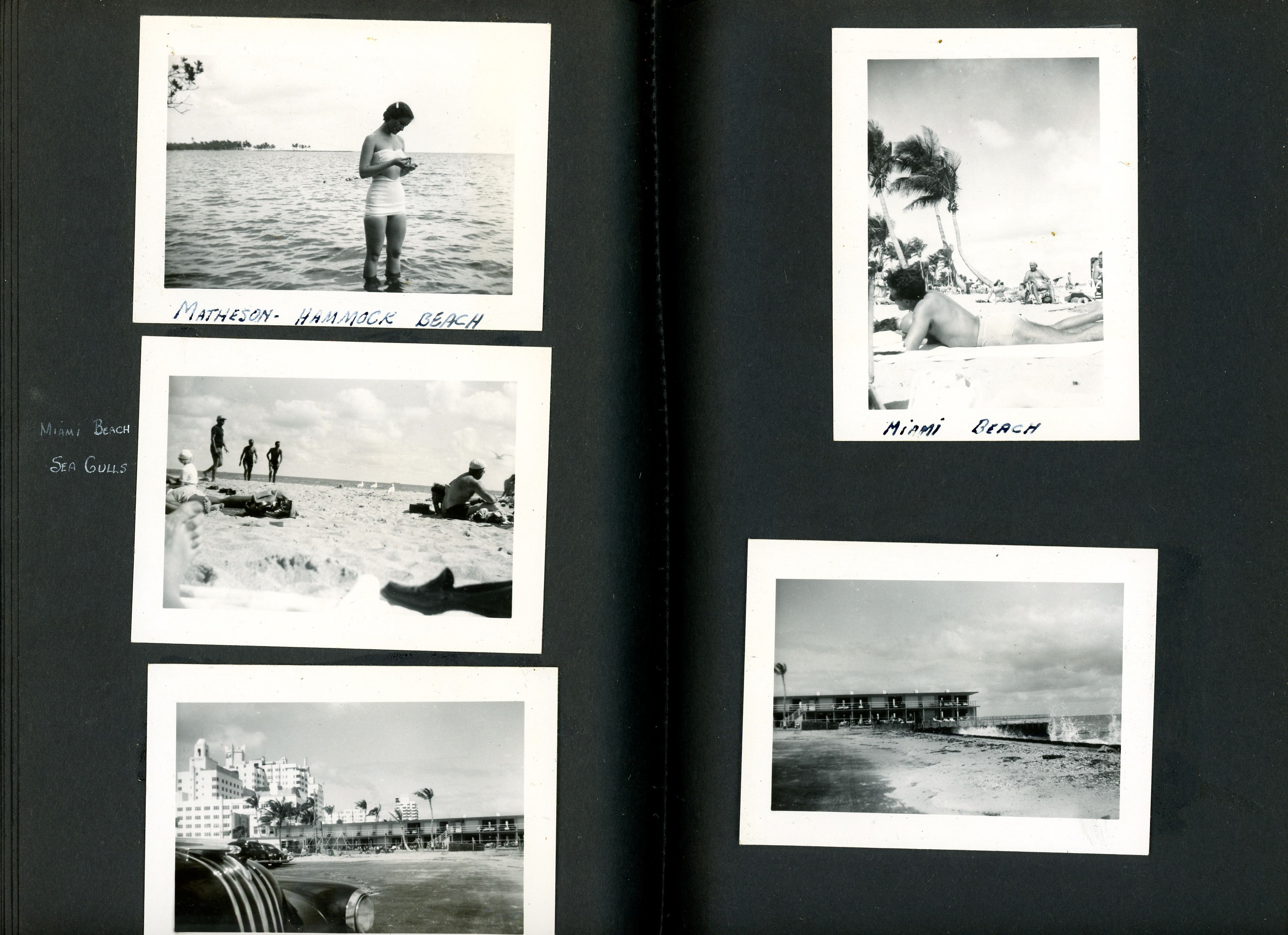 newspaper clipping - newspaper clipping - newspaper clipping - newspaper clipping - newspaper clipping - newspaper clipping - 