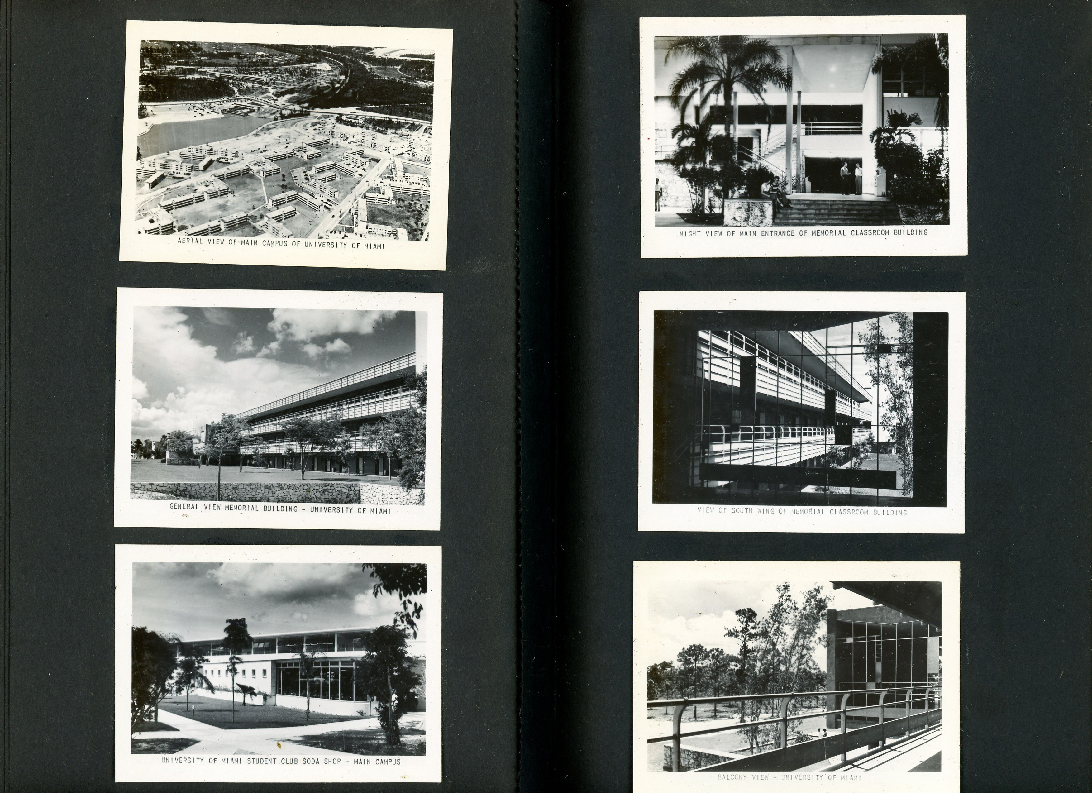 newspaper clipping - newspaper clipping - newspaper clipping - newspaper clipping - newspaper clipping - newspaper clipping - 