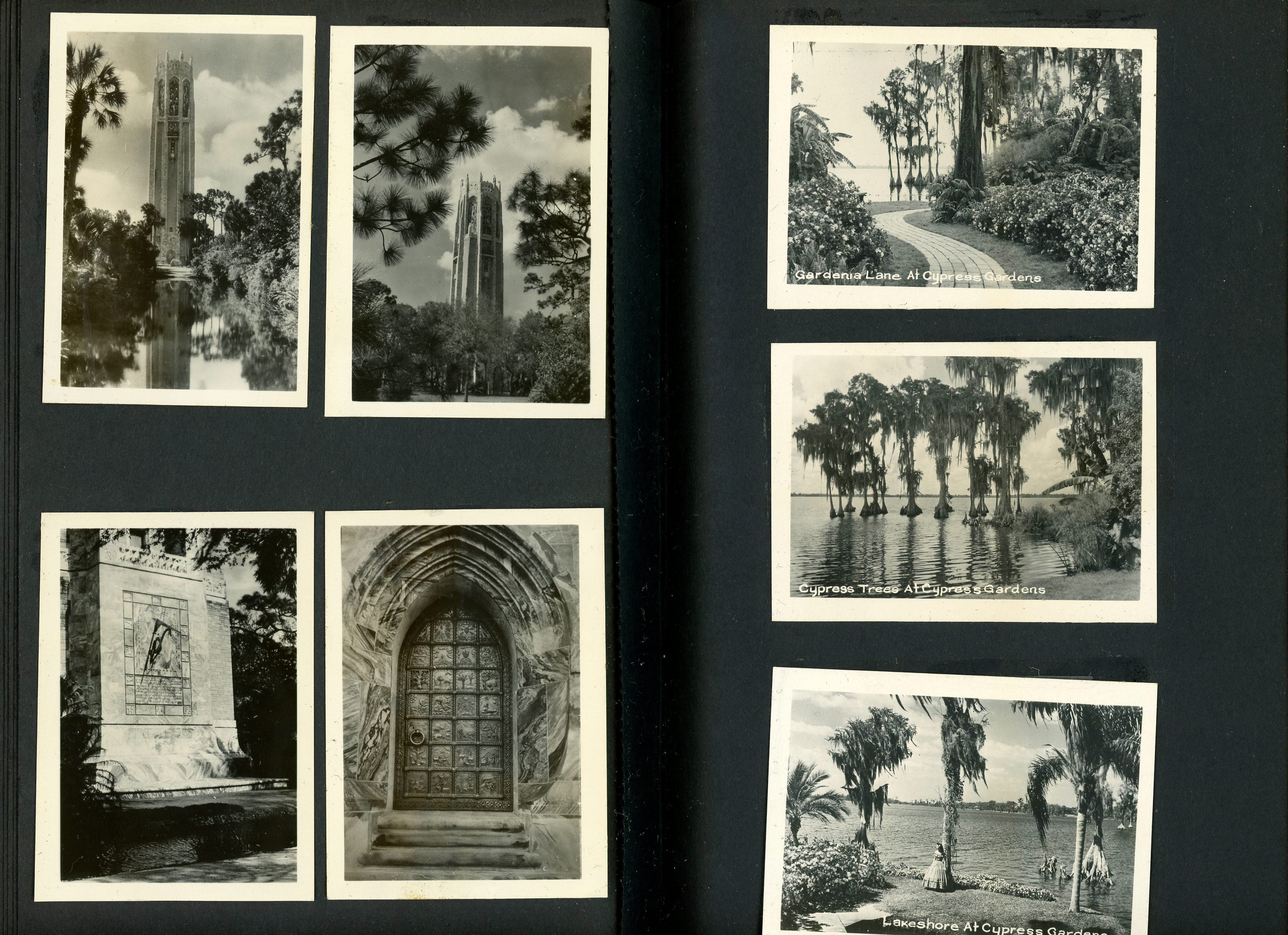 newspaper clipping - newspaper clipping - newspaper clipping - newspaper clipping - newspaper clipping - newspaper clipping - 