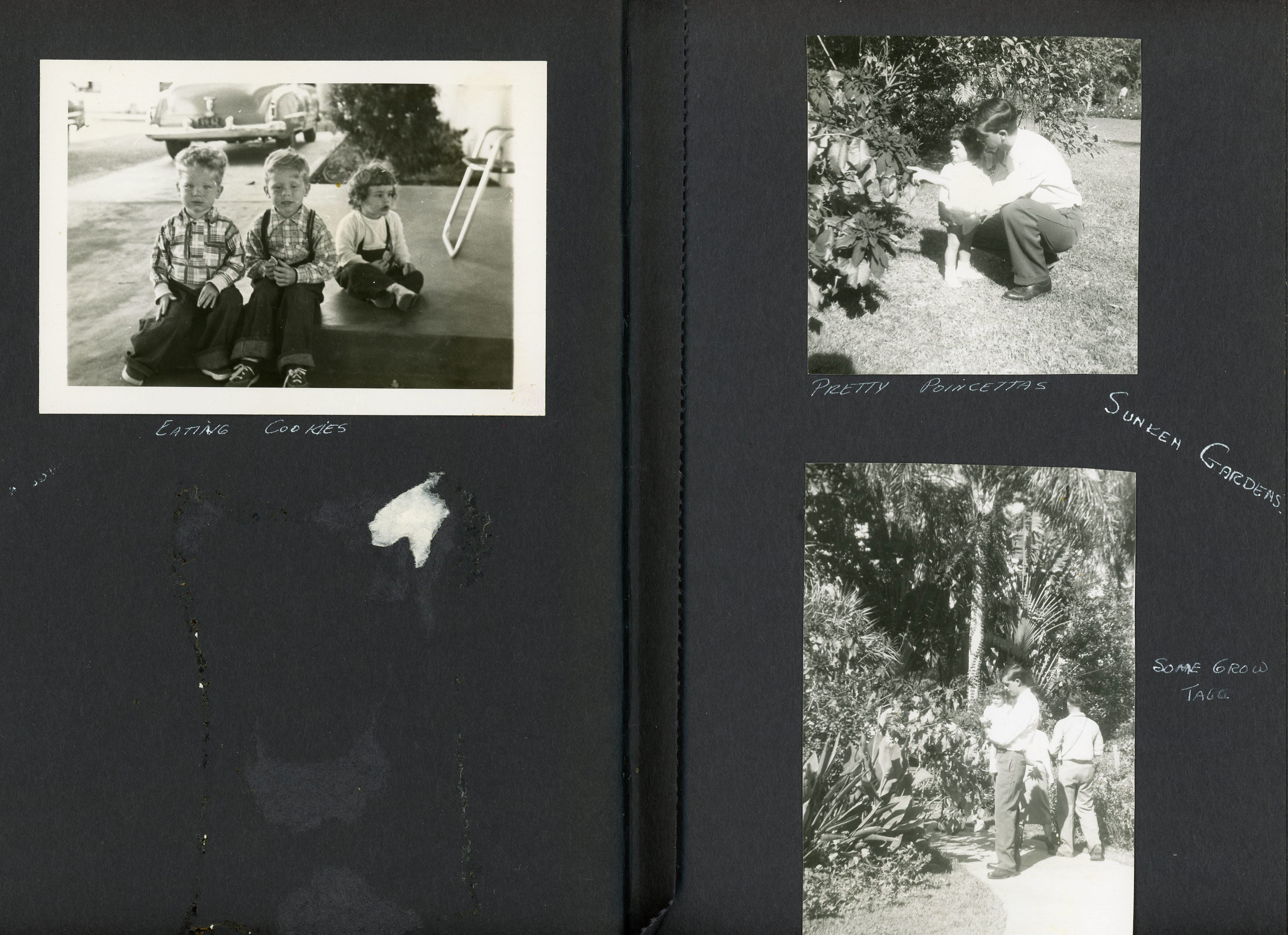 newspaper clipping - newspaper clipping - newspaper clipping - newspaper clipping - newspaper clipping - newspaper clipping - 