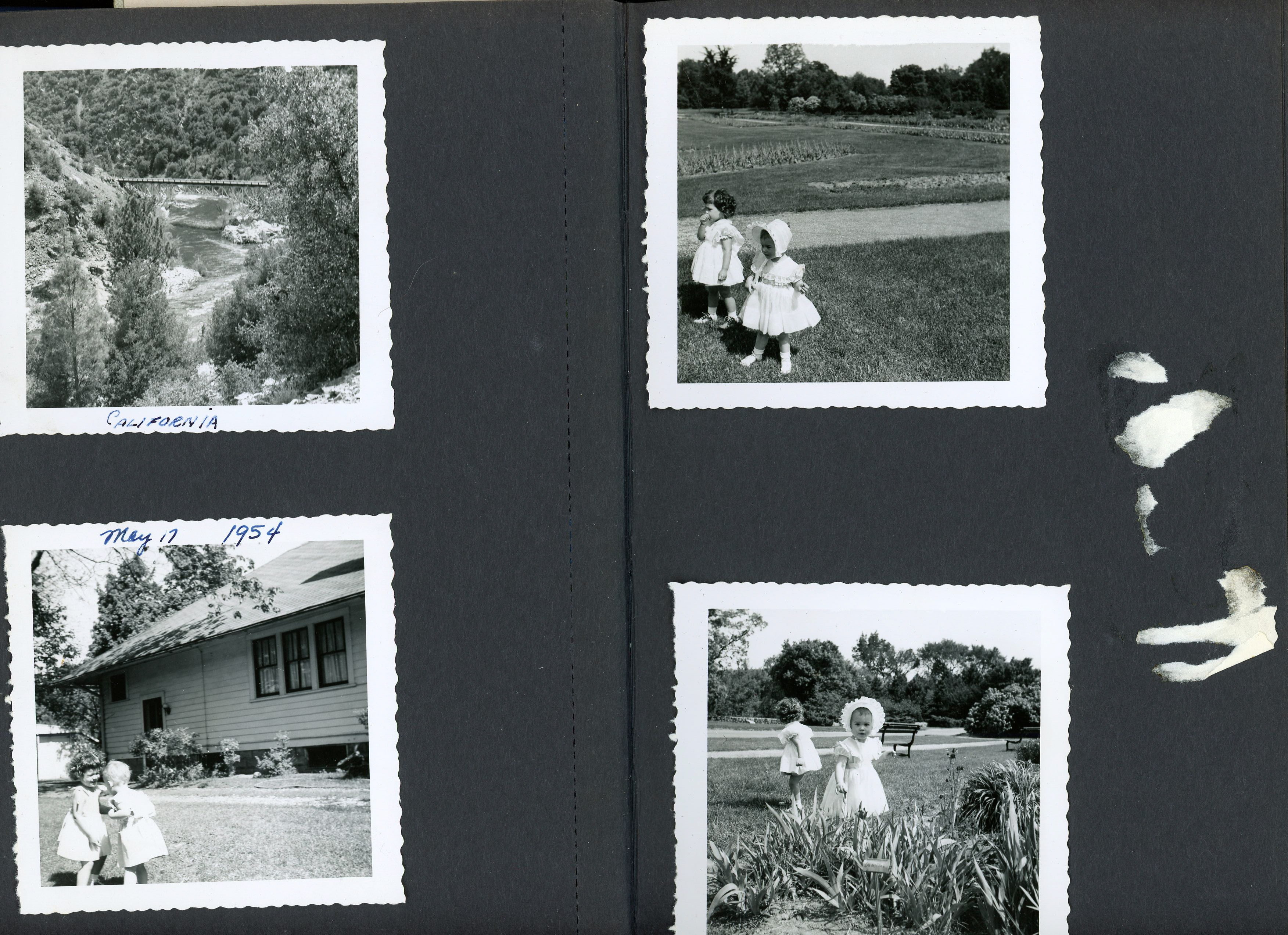 newspaper clipping - newspaper clipping - newspaper clipping - newspaper clipping - newspaper clipping - newspaper clipping - 
