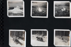 (Yellowstone pool, bear)
