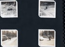 (Yellowstone car and bear)