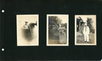 unknown farmer, woman, and sailor.