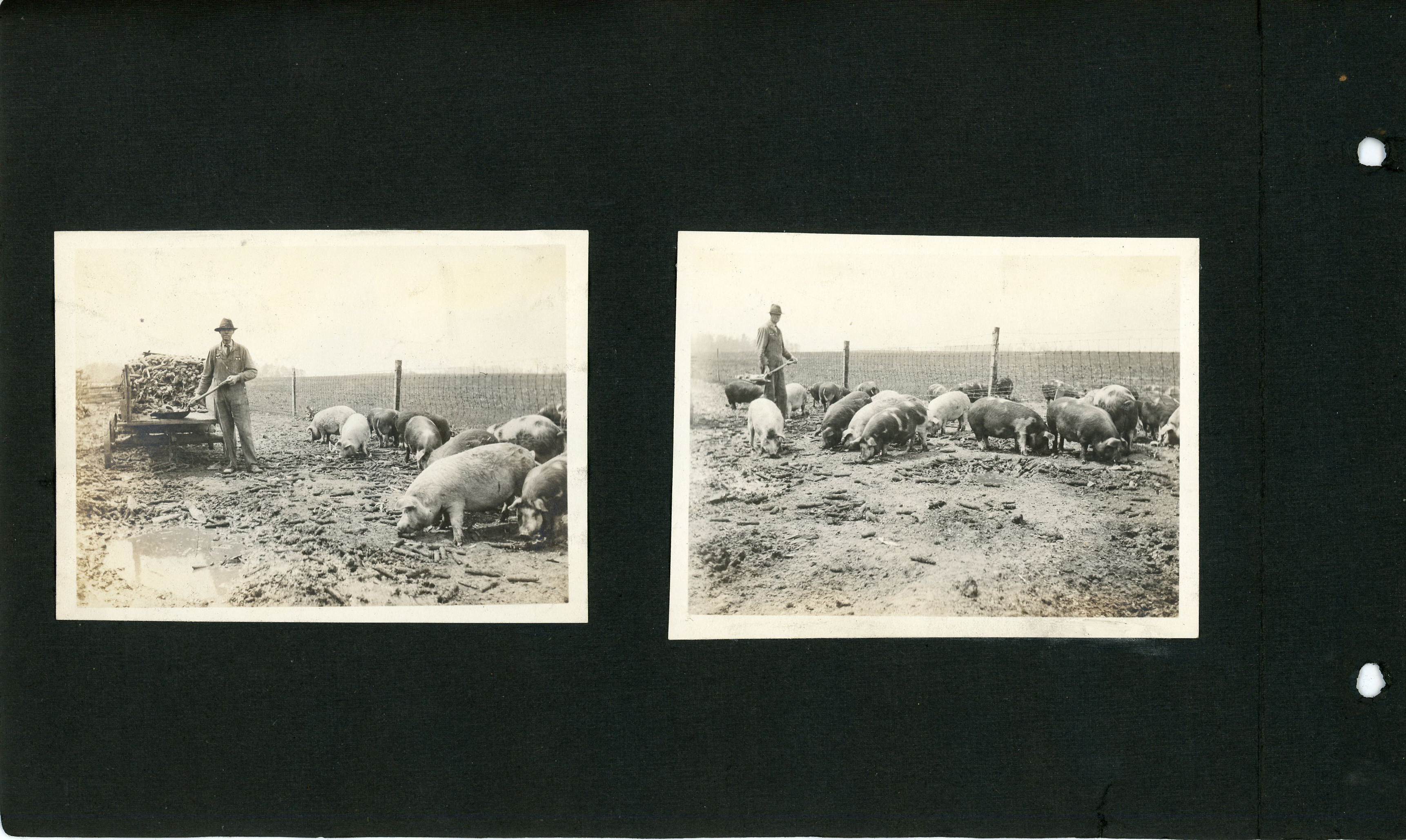 newspaper clipping - newspaper clipping - newspaper clipping - newspaper clipping - newspaper clipping - newspaper clipping - 