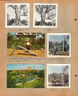 Kapok Tree - 1962 - 25 million dollar Budweiser plant near Tampa Fla - postcard. Postcard - Busch Gardens parrot show. Busch Gardens - Girstle. Helen.