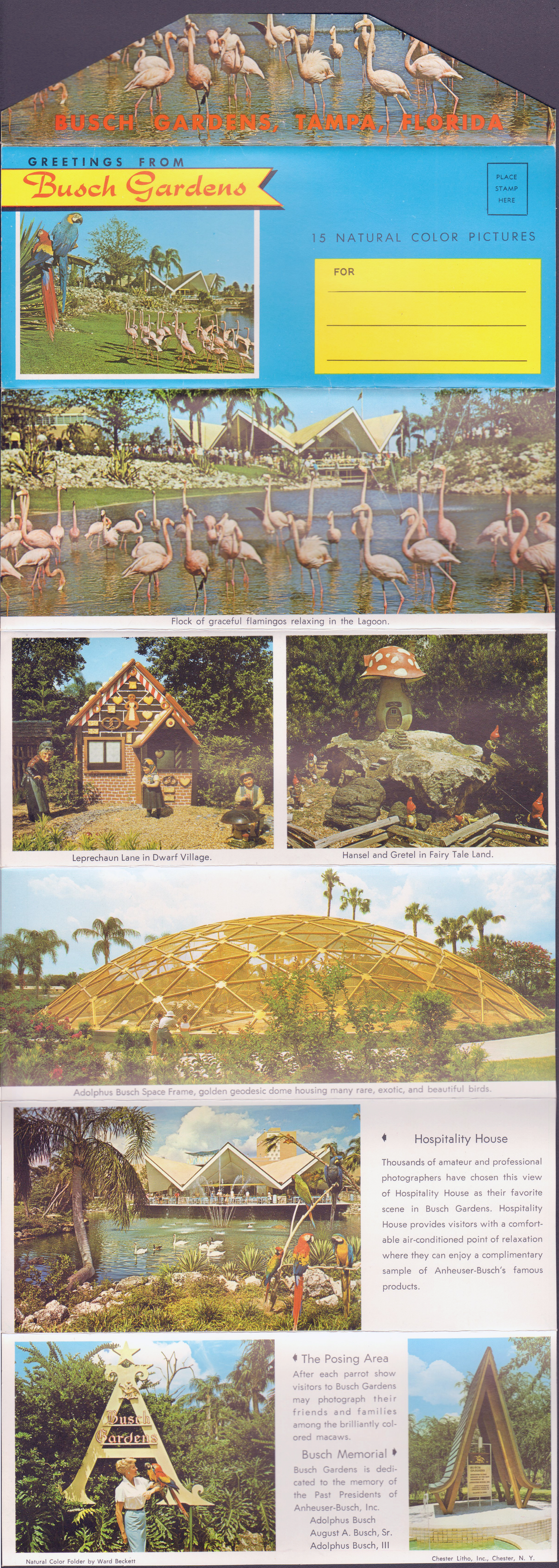 Busch Gardens postcard folder