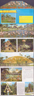 Busch Gardens postcard folder