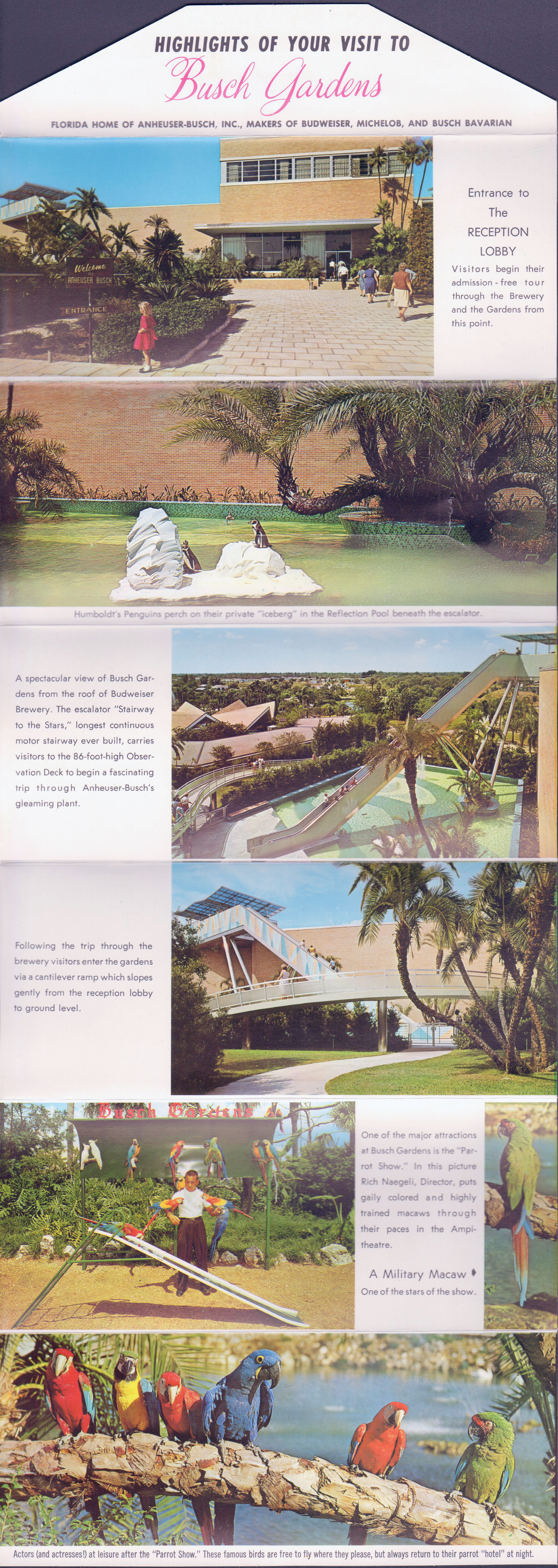 Busch Gardens postcard folder