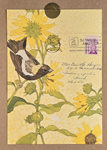 letter to Helen Hague from Rosemary
