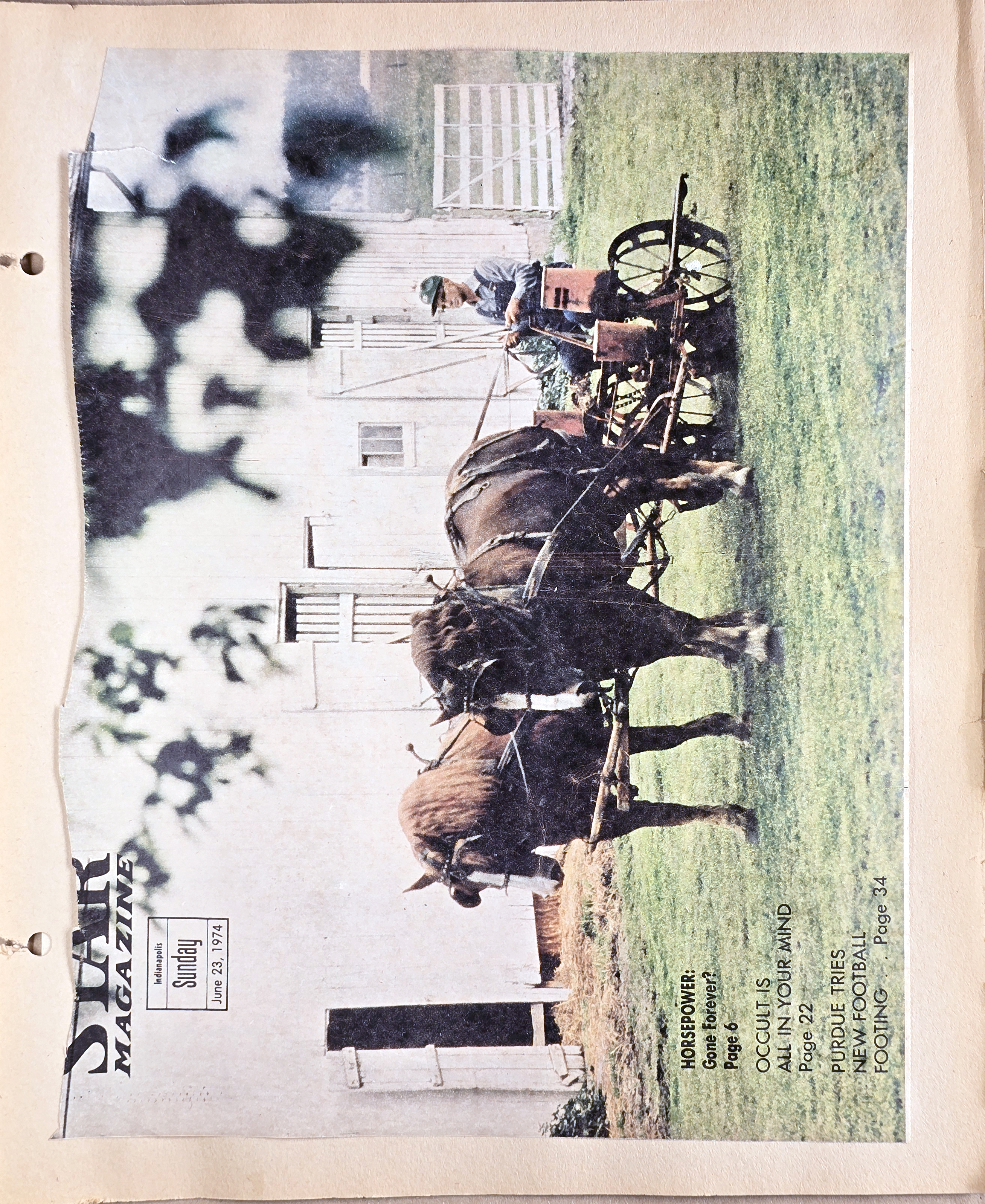 newspaper clipping - newspaper clipping - newspaper clipping - newspaper clipping - newspaper clipping - newspaper clipping - 
