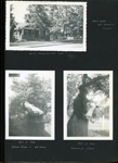 6114 Carrollton - Mr & Mrs L.E. Harris house.  David Letsinger with Susan. Girstle at 8815.