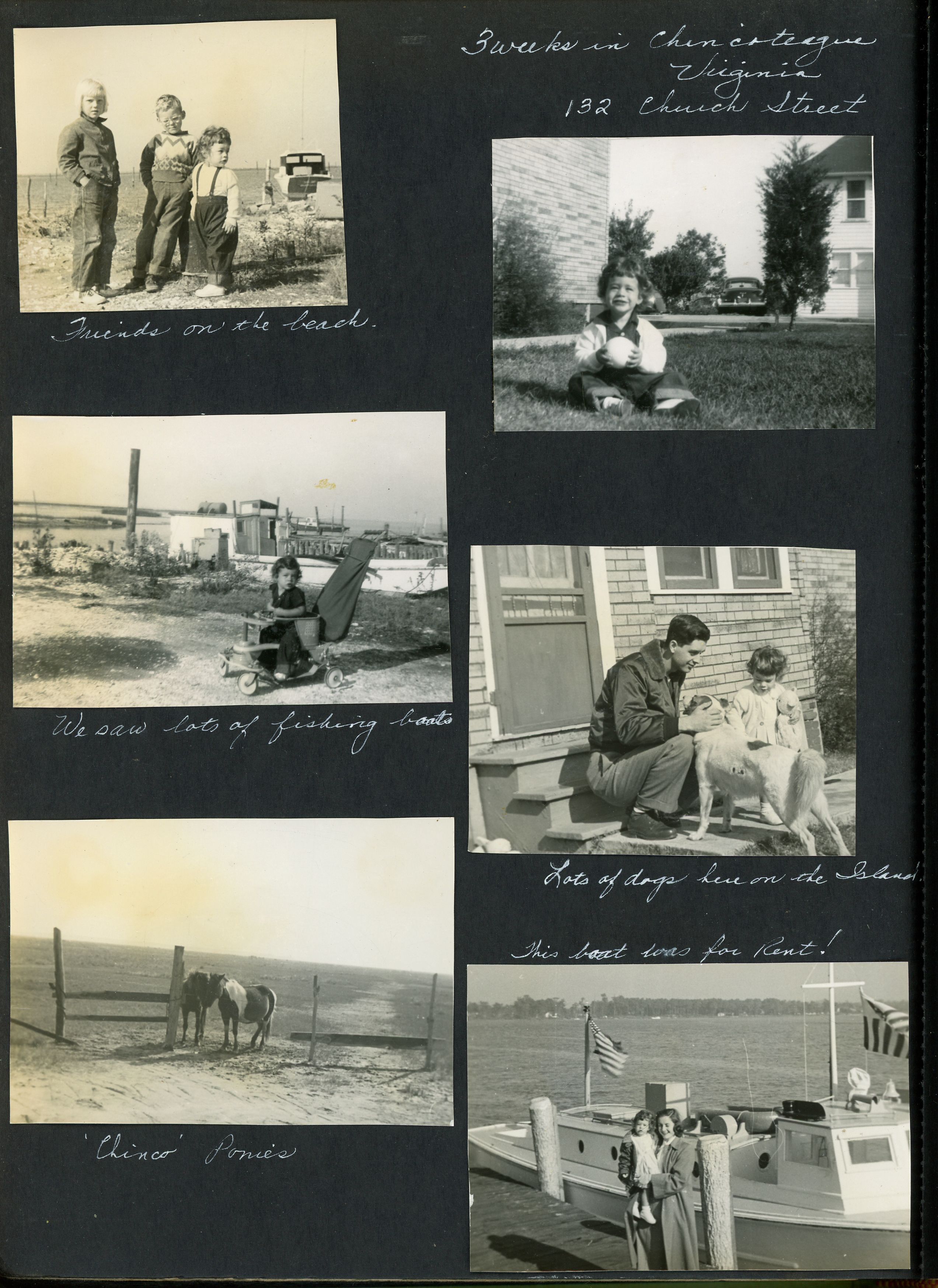 newspaper clipping - newspaper clipping - newspaper clipping - newspaper clipping - newspaper clipping - newspaper clipping - 