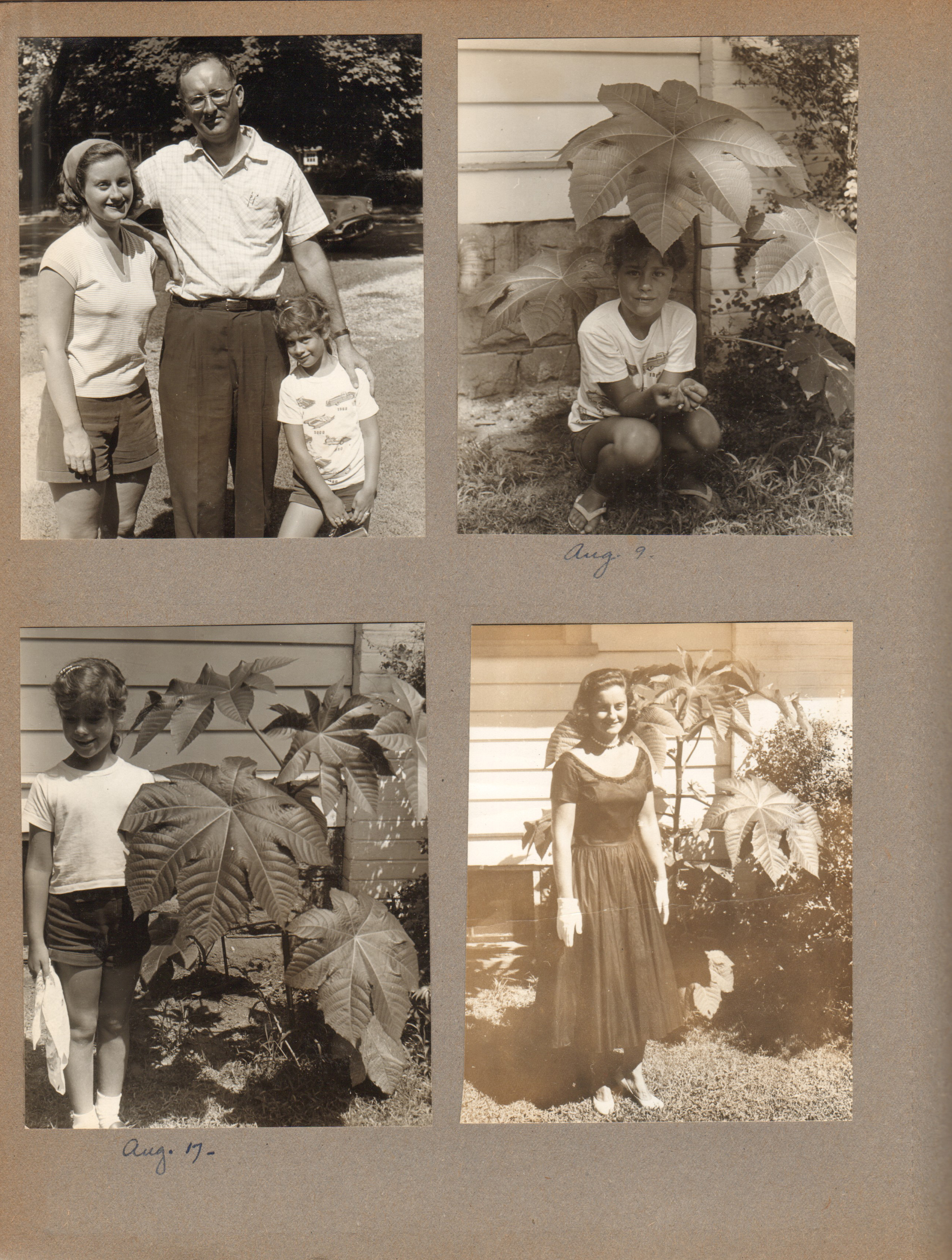 Rosemary, Warren and Susan in yard. Susan under castor bean. Susan and Rosemary next to castor bean