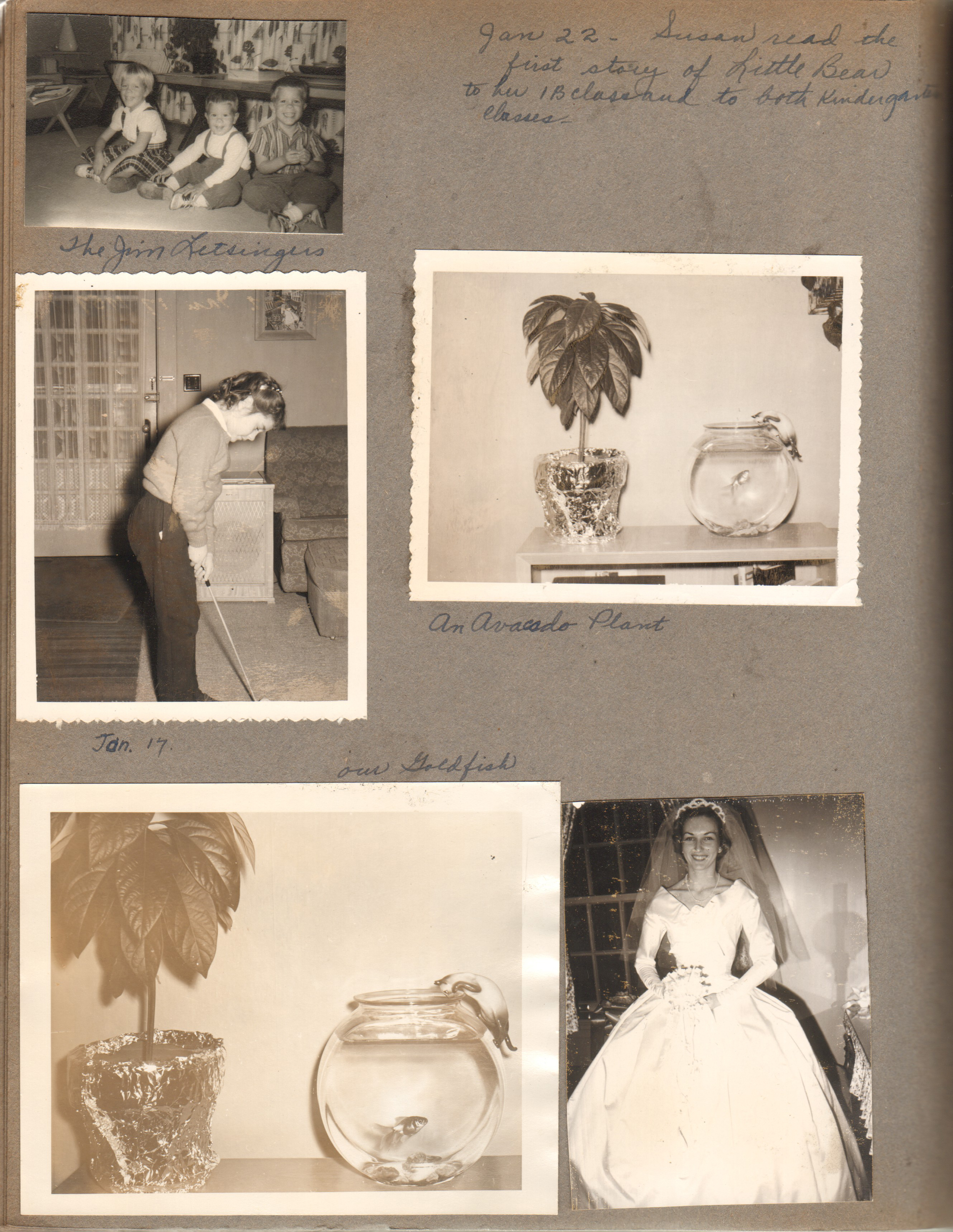 The Jim Letsingers. Susan putting 6122 living room. Avocado plant 6122 living room with goldfish bowl. Bride