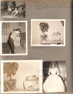 The Jim Letsingers. Susan putting 6122 living room. Avocado plant 6122 living room with goldfish bowl. Bride