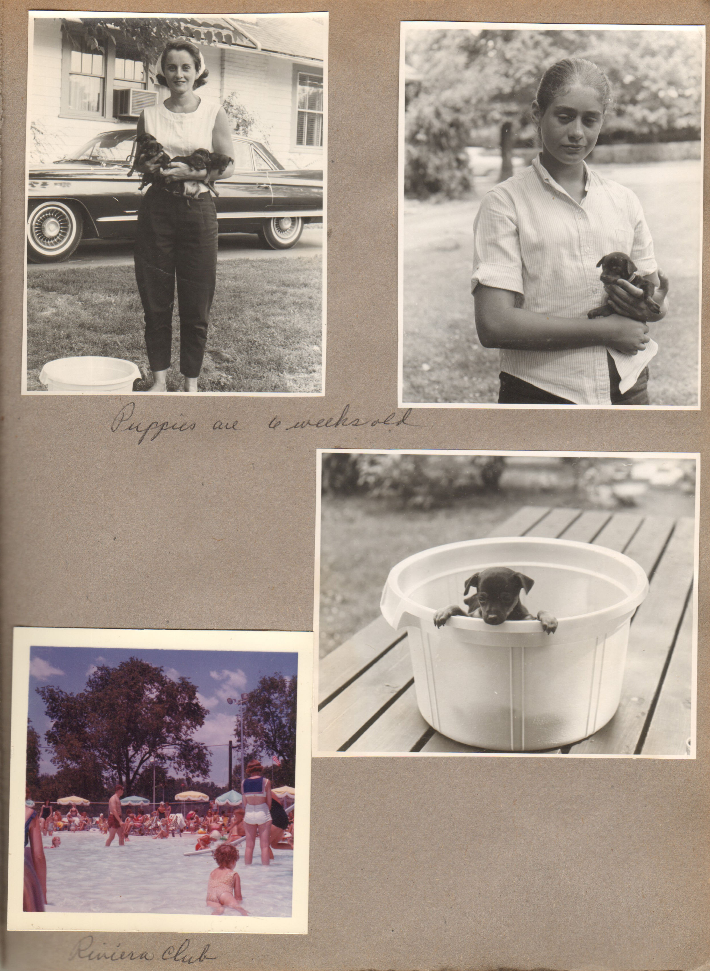 6122 south side of house and Cadillac in driveway - Rosemary with armful of pups. Susan with puppy. Puppy in laundry tub. Riviera Club kiddie pool.
