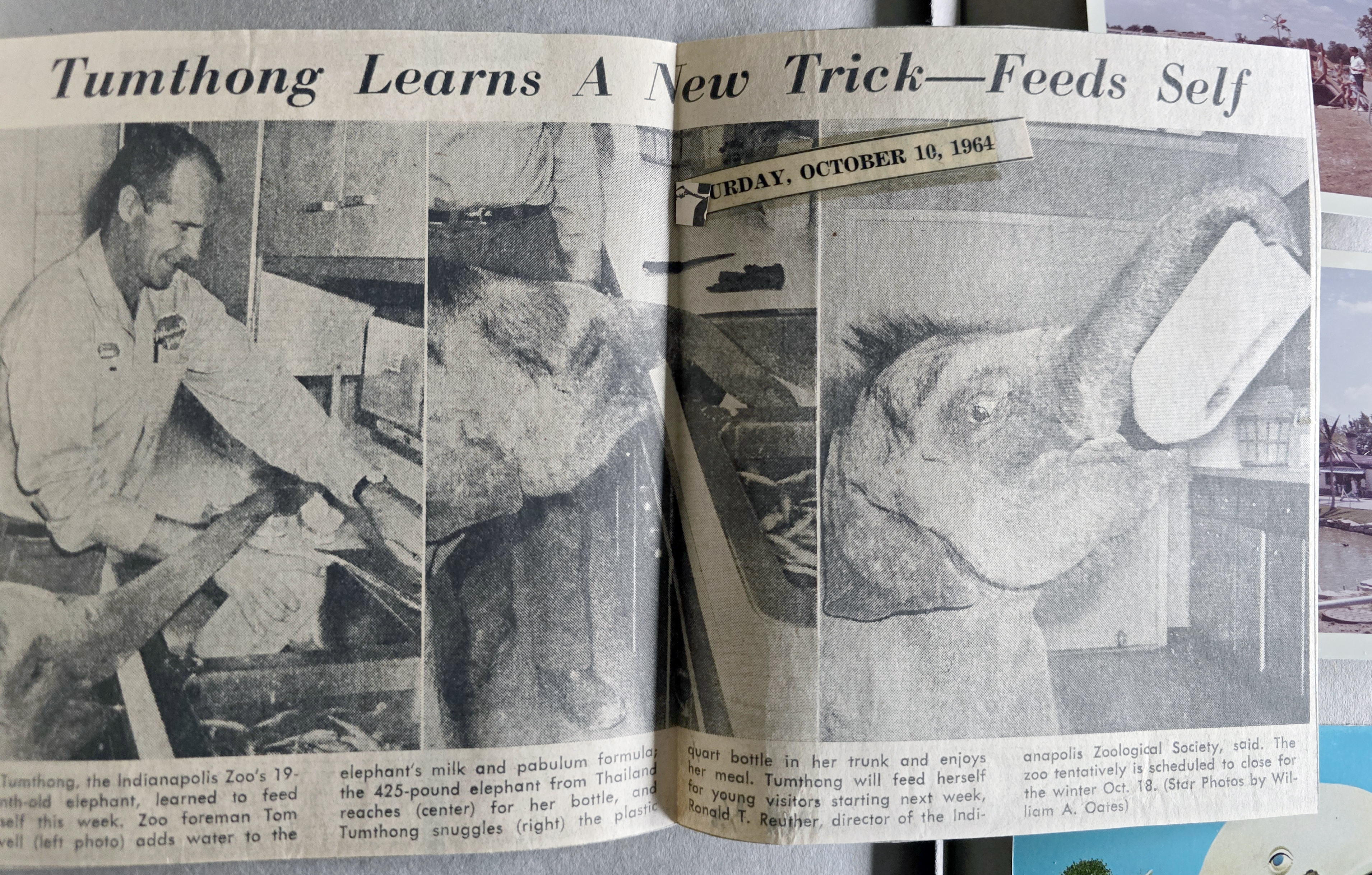 newspaper clipping - Tumthong the elephant Indianapolis Zoo