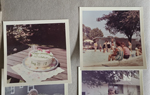 Susan's birthday Rosemary-made cake. Riviera Club baby pool