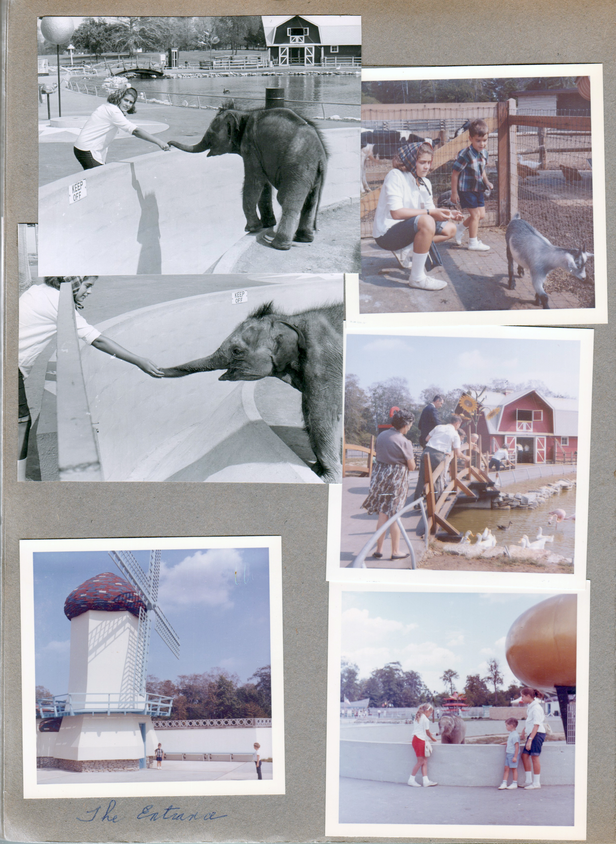 Indianapolis Children's Zoo - Susan feeding elephant. Windmill.