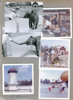 Indianapolis Children's Zoo - Susan feeding elephant. Windmill.