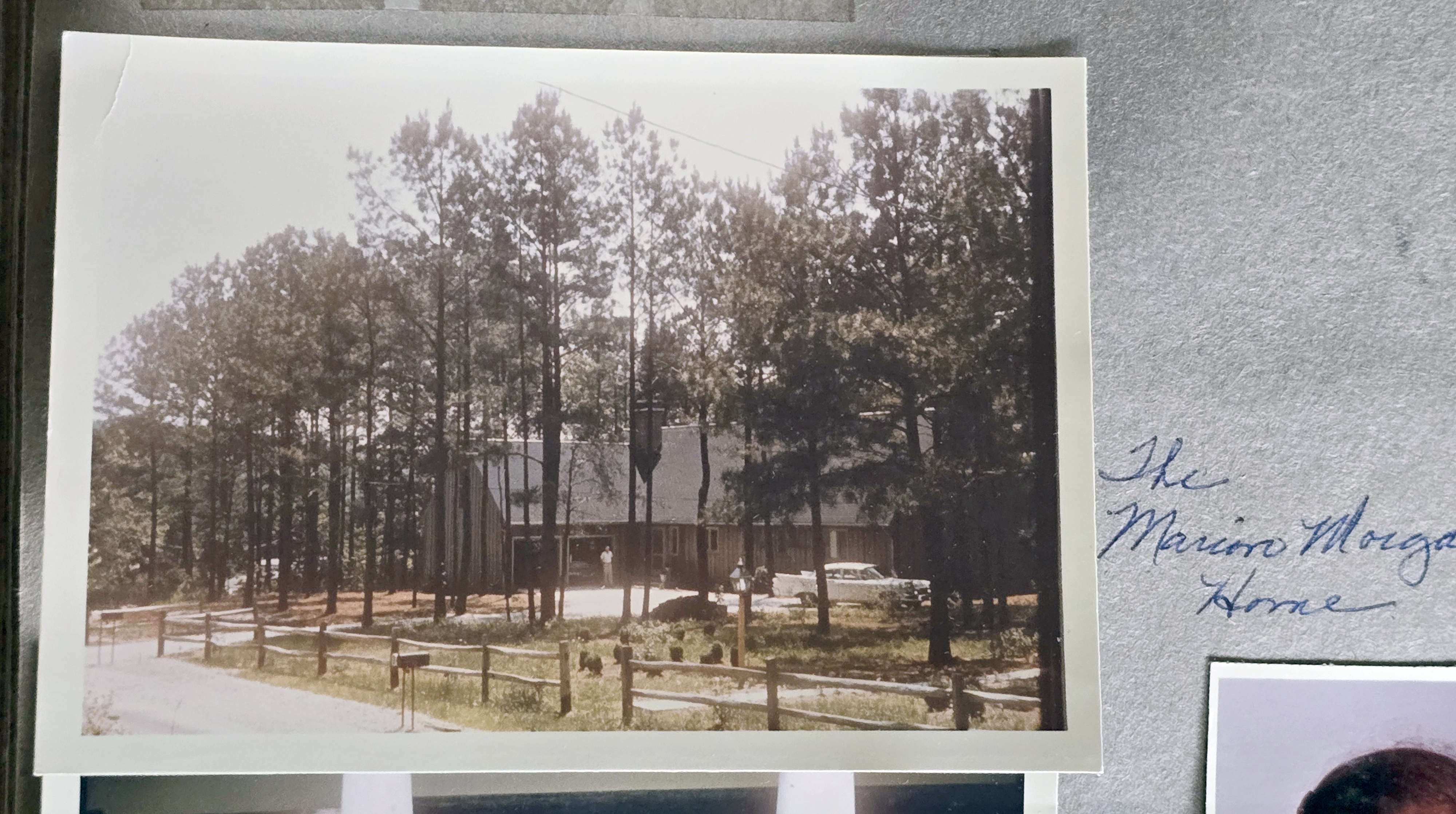 pictures from The Morgans - home