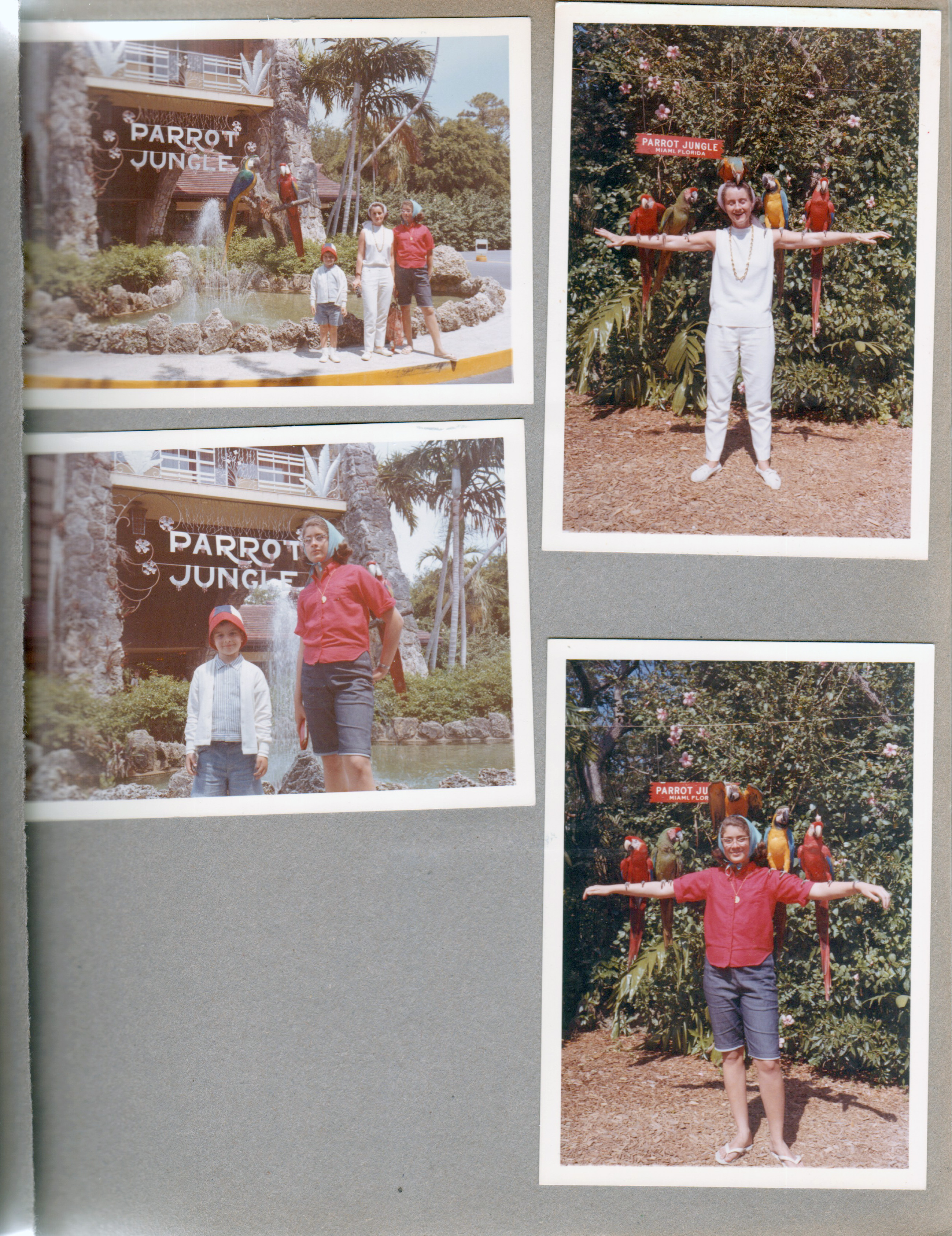 Florida - Parrot Jungle - Miami - Alan, Rosemary, Susan at entrance sign. Rosemary and Susan parrots on arms.