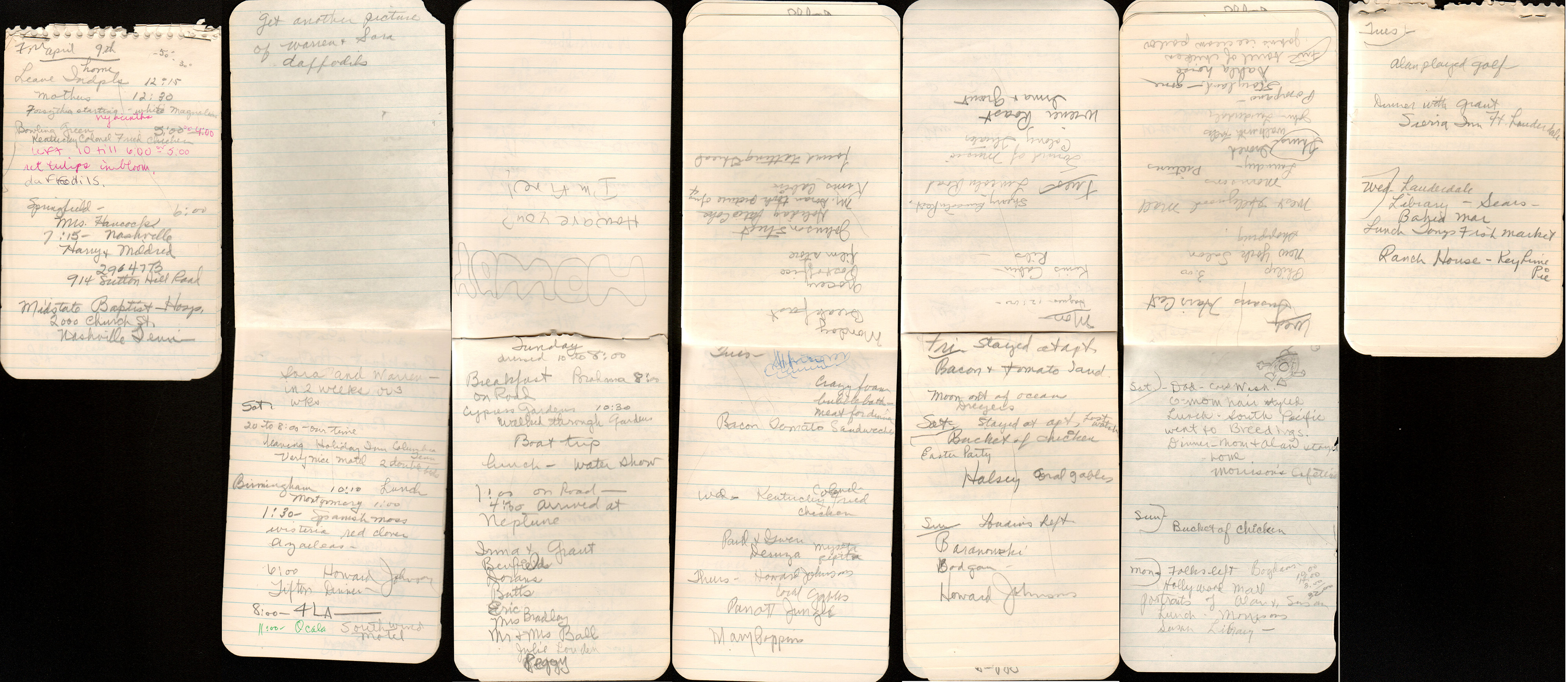 Rosemary's notes of the Florida trip