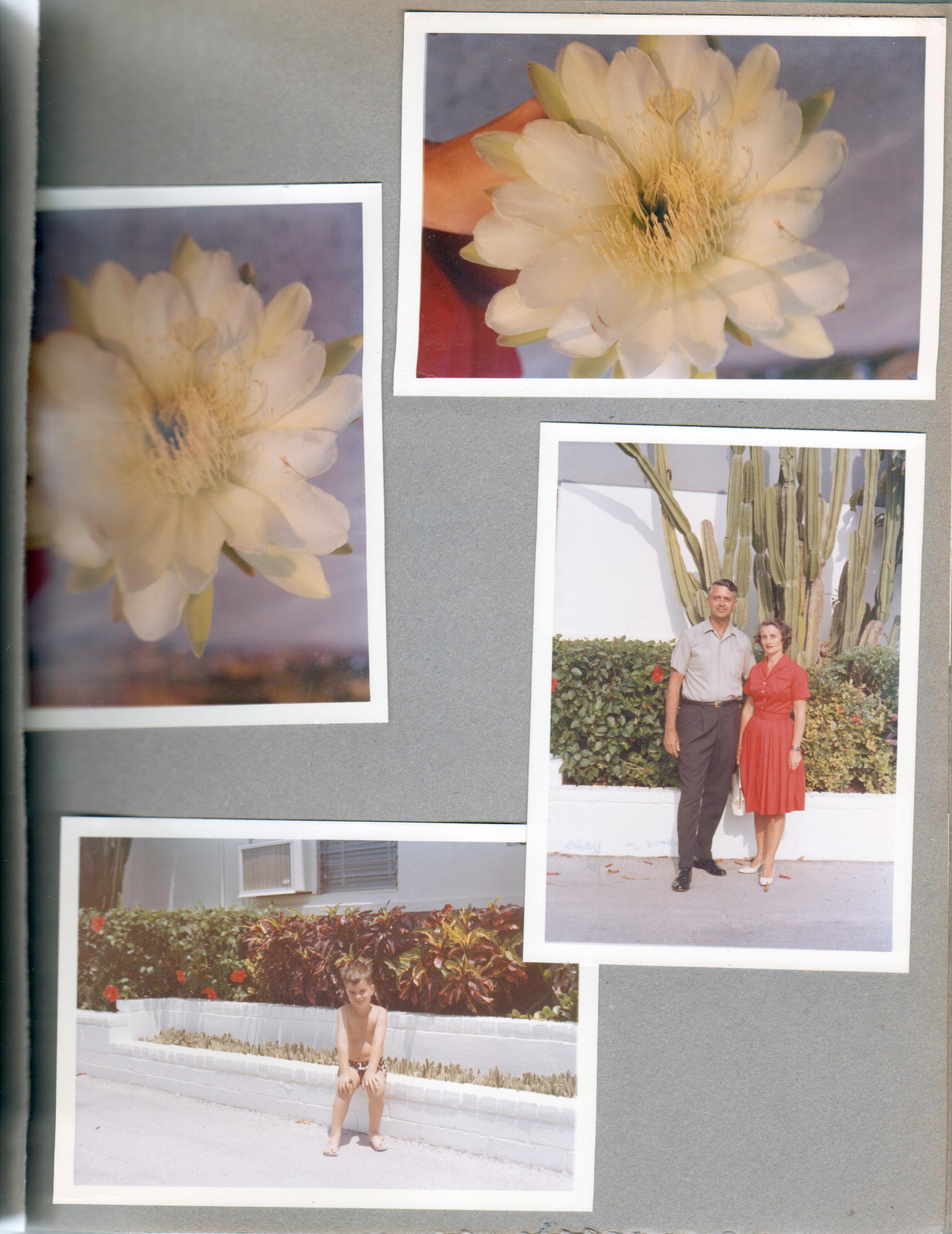 Hollywood Beach - Neptune - flowers. Surf Road - John, Rosemary, Alan.